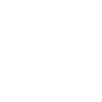 LOCAL PLANNING LAPEL PINS